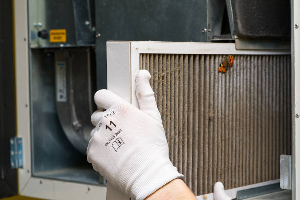 Best Local Air Duct Cleaning Services  in Carson, WA