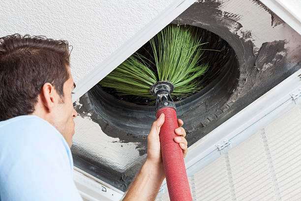 Best Air Duct Sanitizing Services  in Carson, WA